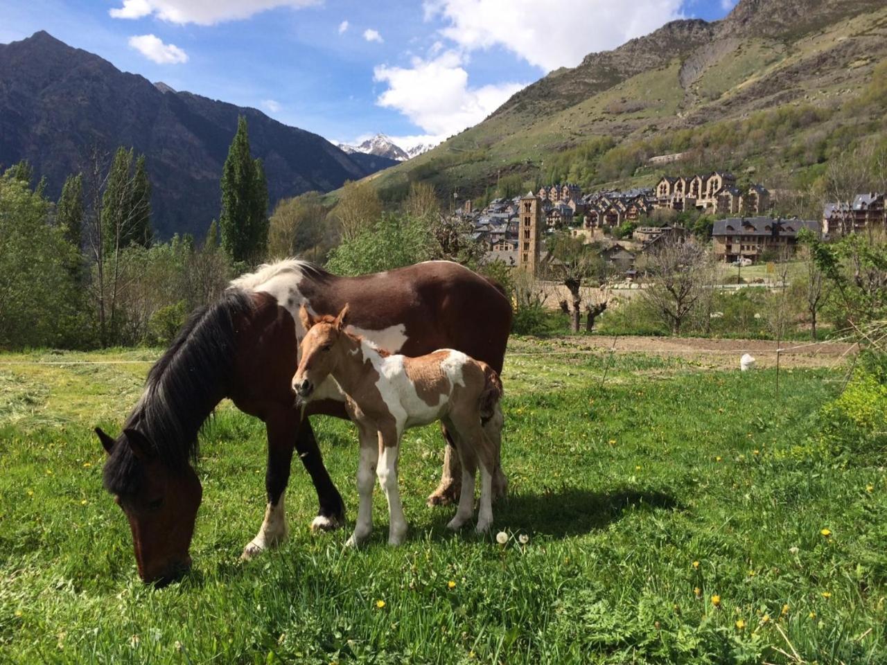 Hostal Rural Sant Climent Taull Ngoại thất bức ảnh